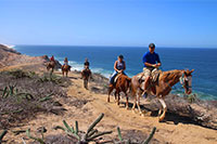 Cabo Horseback Riding Tour
